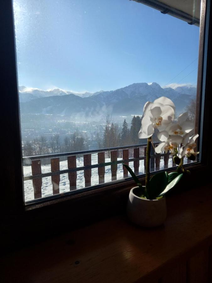Niebianska Gran Apartment Zakopane Exterior foto