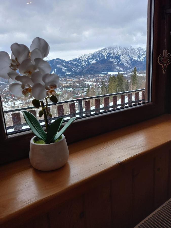 Niebianska Gran Apartment Zakopane Exterior foto